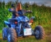 Avatar gebruiker
