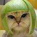 Avatar gebruiker