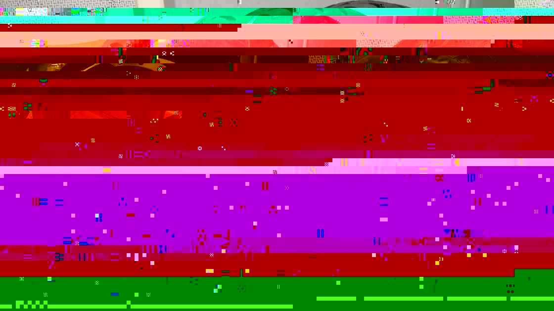 Herschaalde kopie van 5.jpg