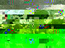 GetAttachment.jpg